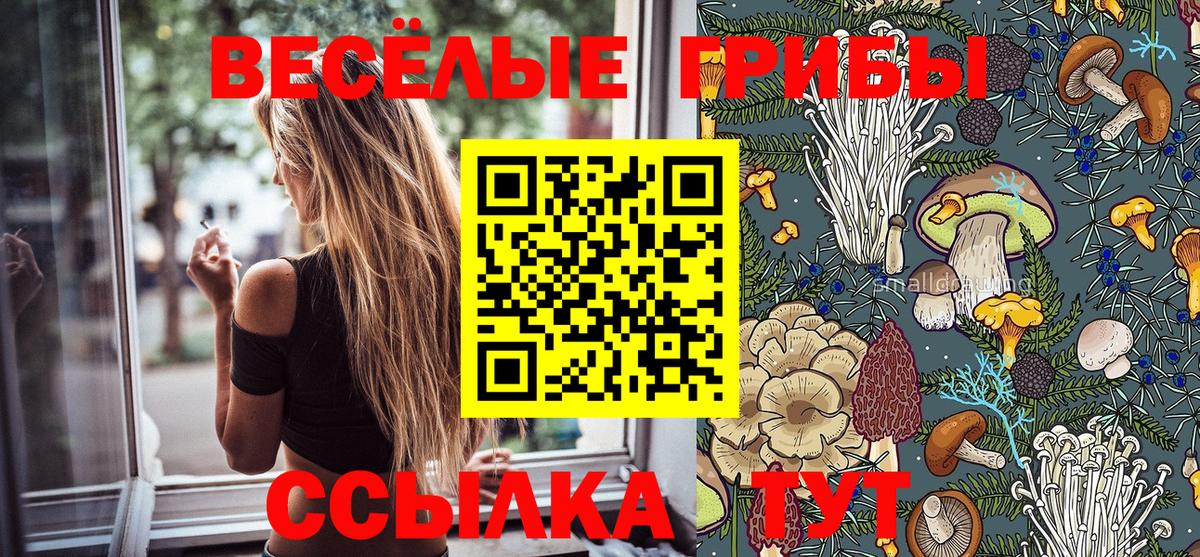 Киров  Псилоцибиновые грибы ЛСД  Галлюциногенные грибы Psilocybine cubensis  Вход с VPN 