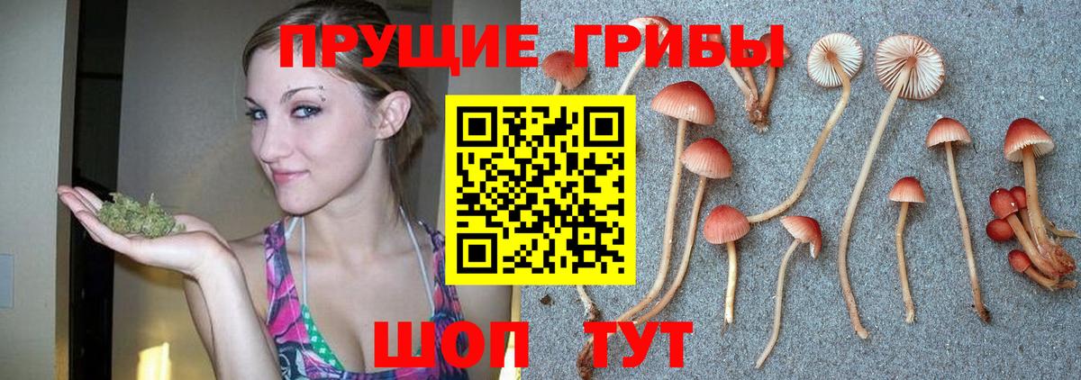 Галлюциногенные грибы ЛСД Киров